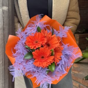Gerberas, flores secas teñidas
