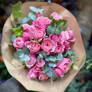 Elogi rosa