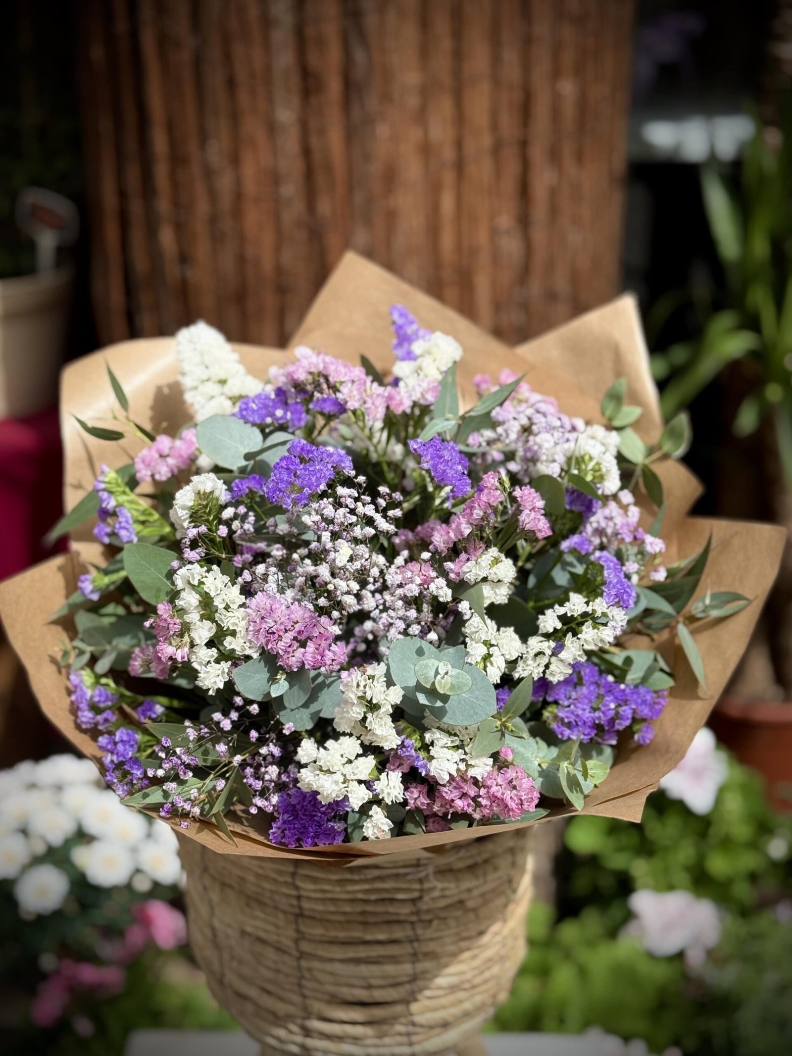 Matí de lavanda