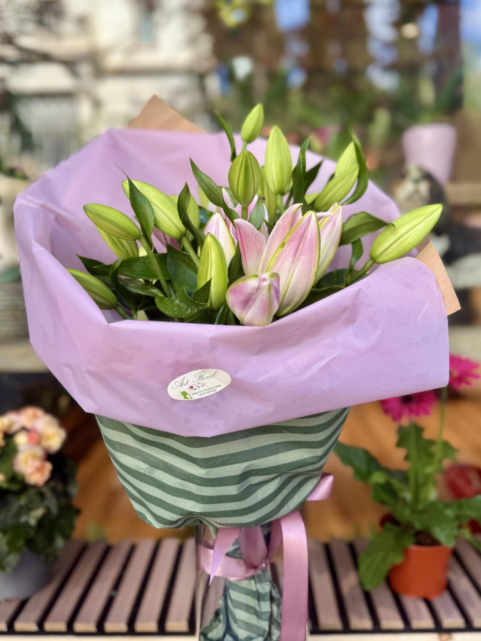 Tendresa Rosa - Imatge 2