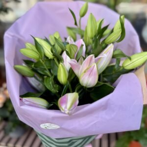 Tendresa Rosa