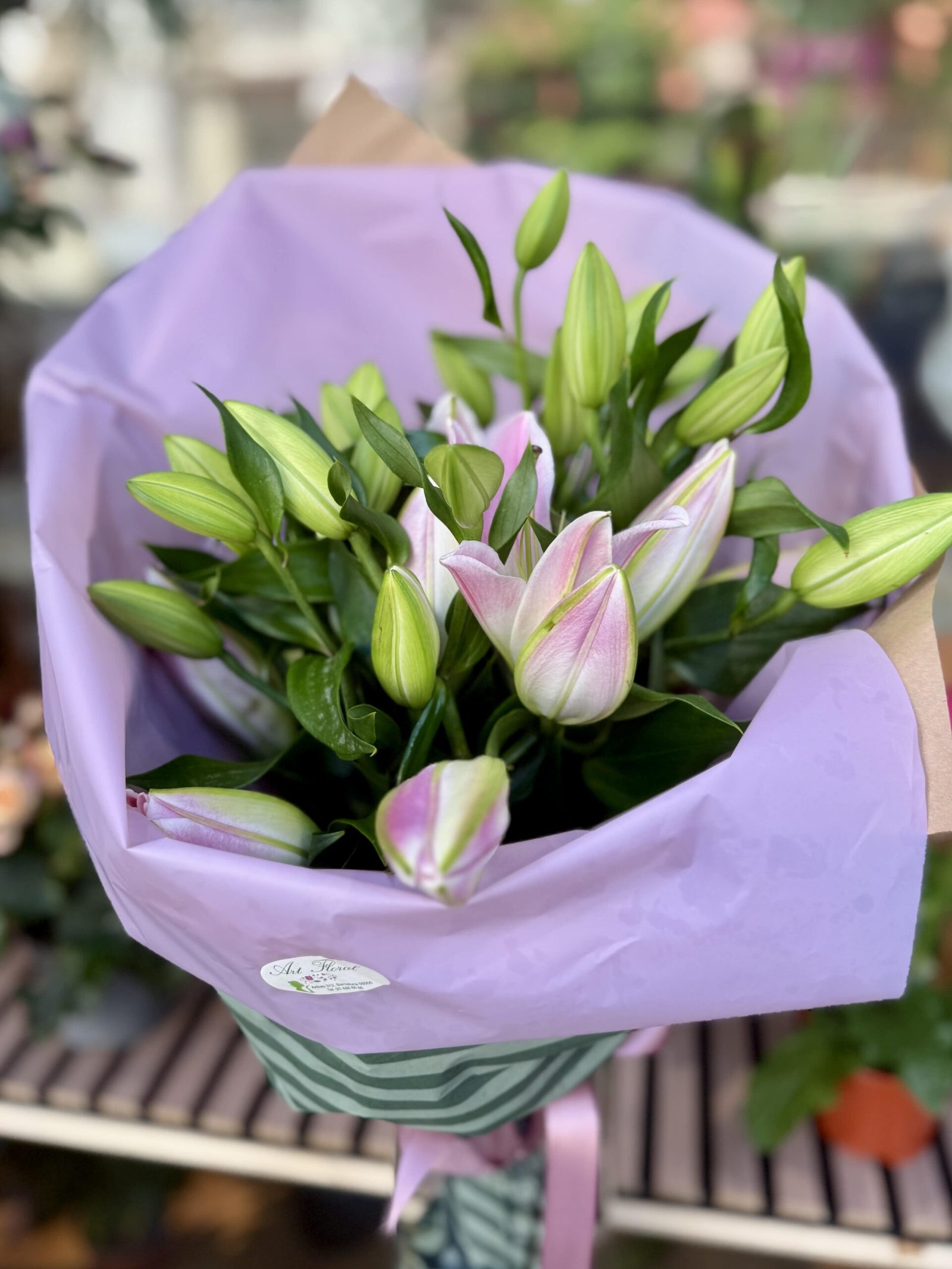 Tendresa Rosa
