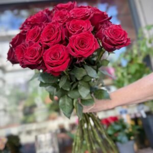 Declaració d’Amor