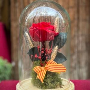 Rosa Eterna con Senyera