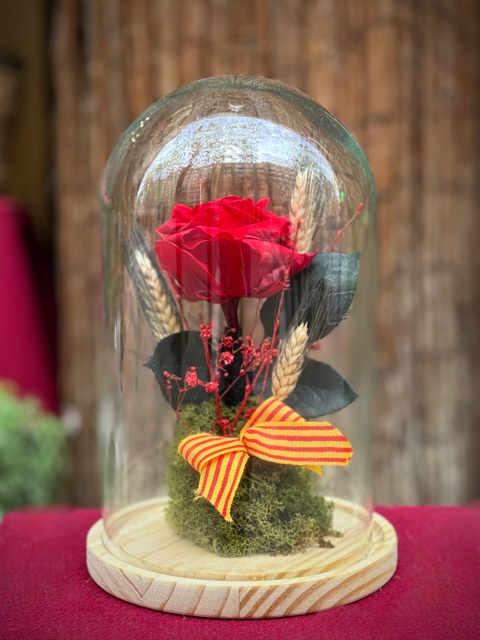 Rosa Eterna con Senyera