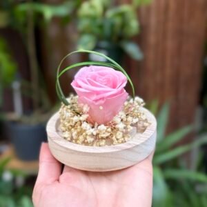 Rosa eterna en cúpula